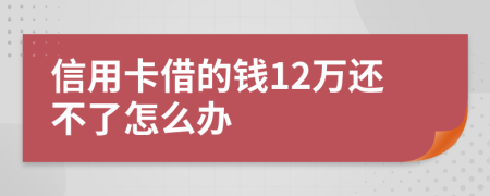 信用卡借的钱12万还不了怎么办
