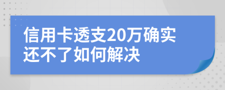 信用卡透支20万确实还不了如何解决