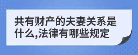 共有财产的夫妻关系是什么,法律有哪些规定