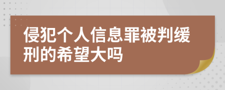 侵犯个人信息罪被判缓刑的希望大吗