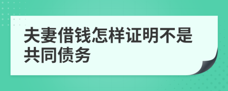 夫妻借钱怎样证明不是共同债务
