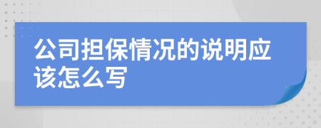 公司担保情况的说明应该怎么写