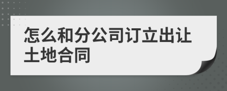 怎么和分公司订立出让土地合同