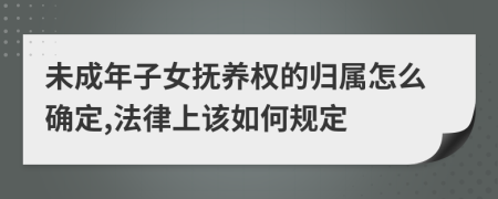 未成年子女抚养权的归属怎么确定,法律上该如何规定