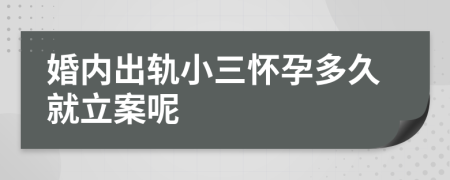 婚内出轨小三怀孕多久就立案呢