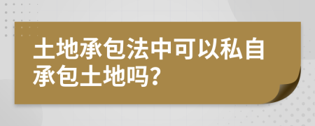 土地承包法中可以私自承包土地吗？