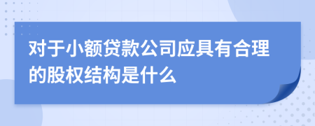 对于小额贷款公司应具有合理的股权结构是什么