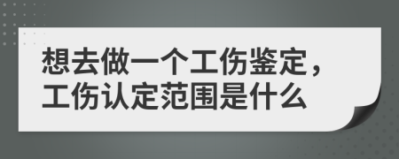 想去做一个工伤鉴定，工伤认定范围是什么