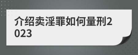 介绍卖淫罪如何量刑2023