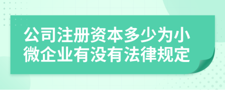 公司注册资本多少为小微企业有没有法律规定