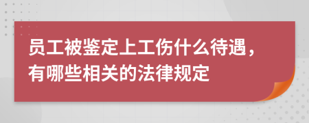 员工被鉴定上工伤什么待遇，有哪些相关的法律规定