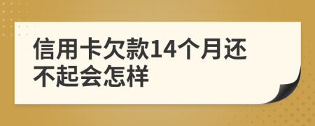 信用卡欠款14个月还不起会怎样