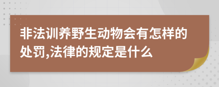 非法训养野生动物会有怎样的处罚,法律的规定是什么