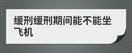 缓刑缓刑期间能不能坐飞机