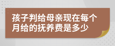 孩子判给母亲现在每个月给的抚养费是多少