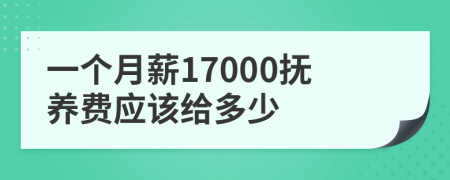 一个月薪17000抚养费应该给多少