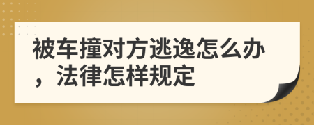 被车撞对方逃逸怎么办，法律怎样规定