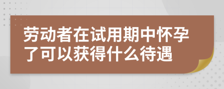 劳动者在试用期中怀孕了可以获得什么待遇