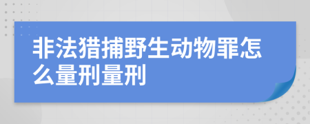 非法猎捕野生动物罪怎么量刑量刑