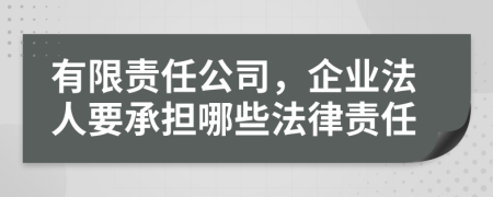 有限责任公司，企业法人要承担哪些法律责任