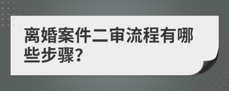 离婚案件二审流程有哪些步骤？