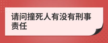 请问撞死人有没有刑事责任