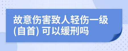 故意伤害致人轻伤一级(自首) 可以缓刑吗