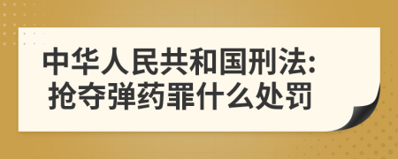 中华人民共和国刑法: 抢夺弹药罪什么处罚