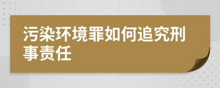 污染环境罪如何追究刑事责任