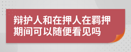 辩护人和在押人在羁押期间可以随便看见吗