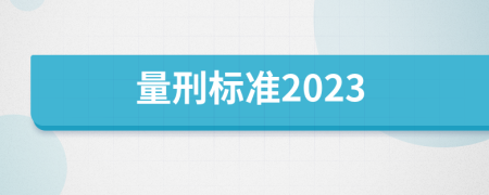 量刑标准2023