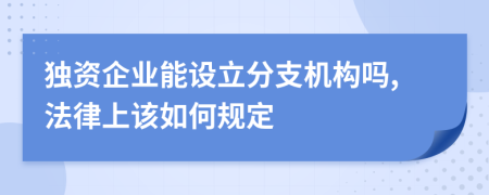 独资企业能设立分支机构吗,法律上该如何规定