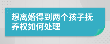 想离婚得到两个孩子抚养权如何处理