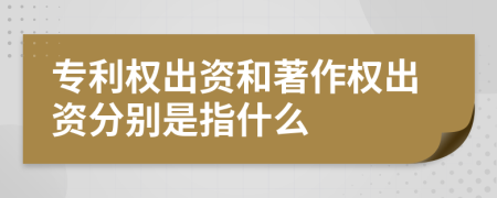 专利权出资和著作权出资分别是指什么