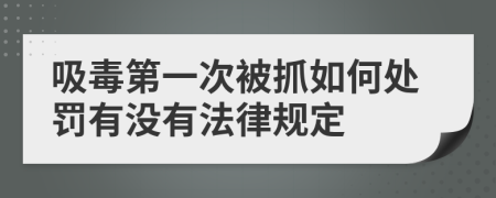 吸毒第一次被抓如何处罚有没有法律规定