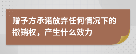 赠予方承诺放弃任何情况下的撤销权，产生什么效力