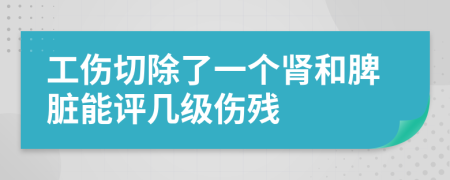 工伤切除了一个肾和脾脏能评几级伤残