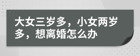 大女三岁多，小女两岁多，想离婚怎么办