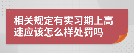 相关规定有实习期上高速应该怎么样处罚吗