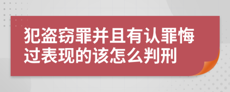 犯盗窃罪并且有认罪悔过表现的该怎么判刑