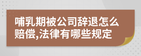 哺乳期被公司辞退怎么赔偿,法律有哪些规定