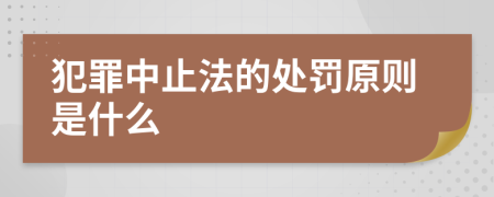 犯罪中止法的处罚原则是什么