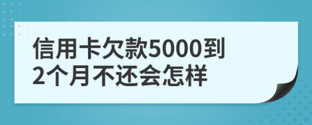 信用卡欠款5000到2个月不还会怎样