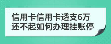 信用卡信用卡透支6万还不起如何办理挂账停