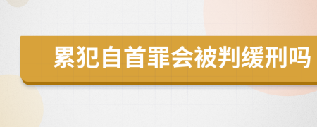 累犯自首罪会被判缓刑吗