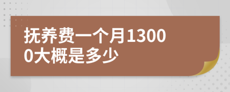 抚养费一个月13000大概是多少