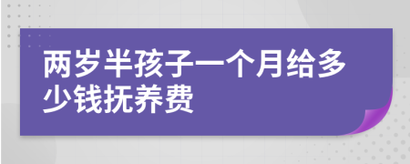 两岁半孩子一个月给多少钱抚养费