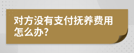 对方没有支付抚养费用怎么办?