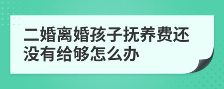 二婚离婚孩子抚养费还没有给够怎么办