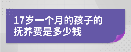 17岁一个月的孩子的抚养费是多少钱